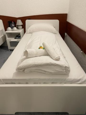 Hotel Starlight فرانكفورت المظهر الخارجي الصورة